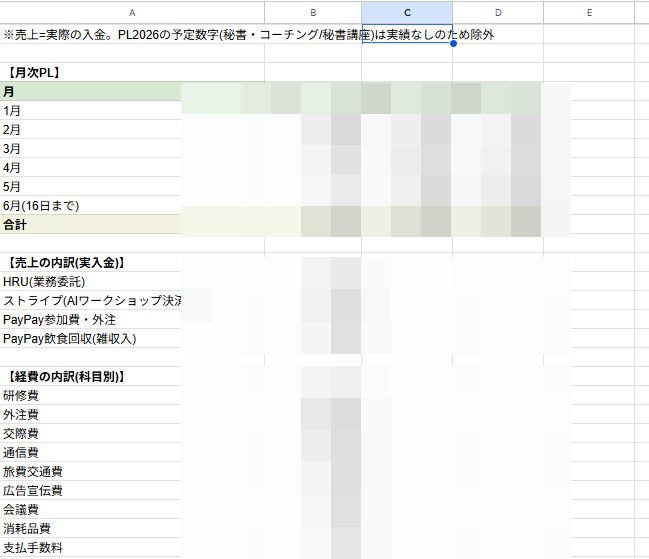 売上・経費の管理表（数字はぼかし）